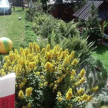 Homestay Gosinne U Ani I Andrzeja